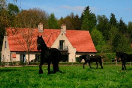 B&B Heerlijkhyd Hertsberge Bagian luar foto