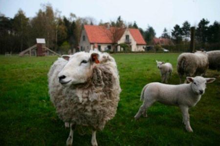 B&B Heerlijkhyd Hertsberge Bagian luar foto